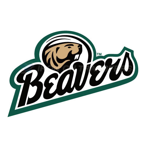 Bemidji State Beavers 2004 Pres Logo T-shirts Iron On Transfers